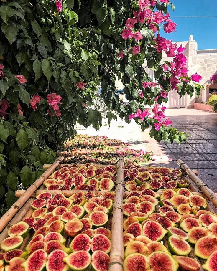 🌿 Il tempo nel Salento: lo slow living che nasce dal cuore della terra
